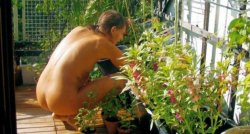 Naked Gardener Meme Template
