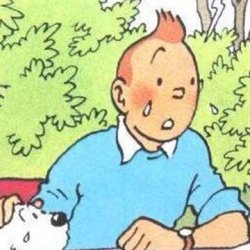 Tintin crying Meme Template
