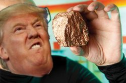 Trump loves rocks Meme Template