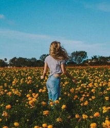young woman in field of flowers Meme Template