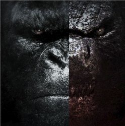 Kong and Godzilla Meme Template