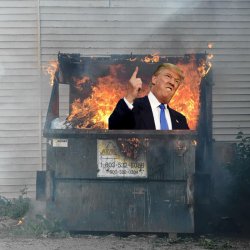 Trump Dumpster Fire Meme Template