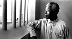 nelson mandela Meme Template
