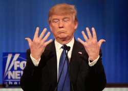 Tiny Trump hands Meme Template