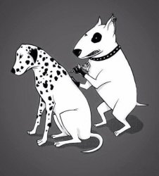 Dalmation Tattoo Meme Template