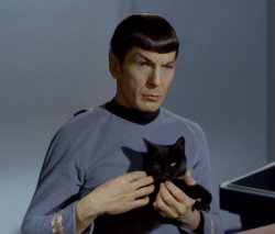Vulcan Kitten Meme Template