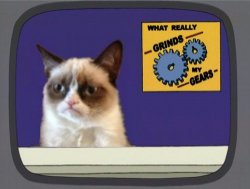 Grumpy Cat Grinds My Gears Meme Template