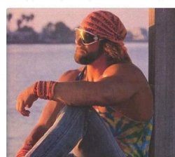 Macho man Randy savage or Moehler Meme Template