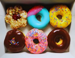donuts Meme Template