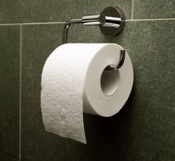 Toilet paper roll Meme Template