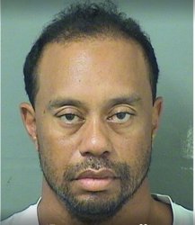 Tiger Woods Mug Shot  Meme Template