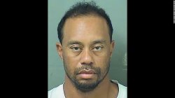 Tiger Woods Mugshot Meme Template