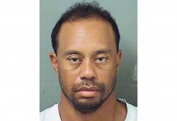 Tiger Woods Mug Shot Meme Template