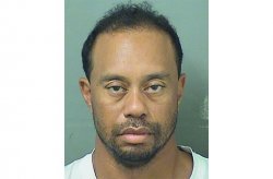 Tiger Woods Mugs Shot Meme Template