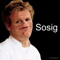 Sosig covfefe Meme Template