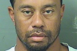 Tiger Woods mugshot Meme Template