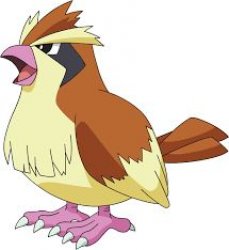 Pidgey Meme Template
