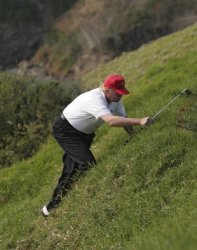 Donald Trump hunting for a golfball Meme Template