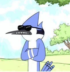 mordecai regular show shades lame Meme Template