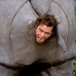 Ace Ventura Rhino Meme Template