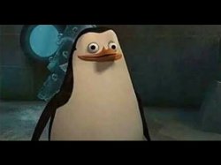 Confused penguin Meme Template