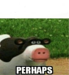 Perhaps Cow Meme Template