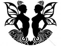 GEMINI Meme Template