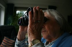 old lady with binoculars Meme Template