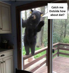 Catch Me Outside Bear Meme Template