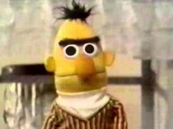 Sesame Street Bert Meme Template