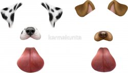 Snapchat dog filter Meme Template
