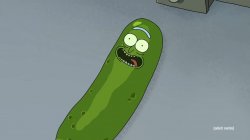 Pickle Rick Meme Template