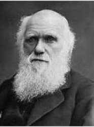 Charles Darwin Meme Template