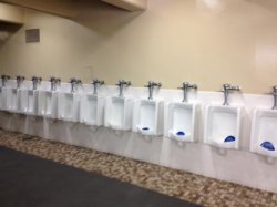 Row of urinals Meme Template
