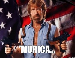 Happy 4th of jUly Murica chuck norris Meme Template