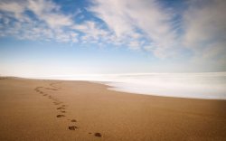 Footprints in sand Meme Template