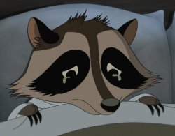 Sad_Racoon Meme Template