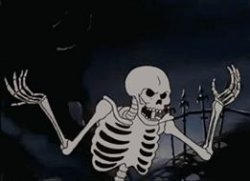 What the hell skeleton Meme Template
