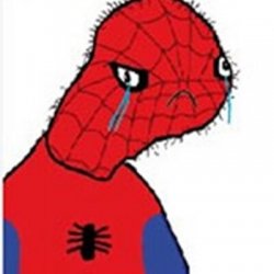Spoder Man Meme Template