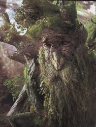Treebeard the Ent Meme Template