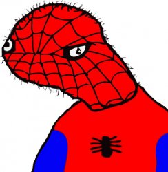 Spoder man Meme Template