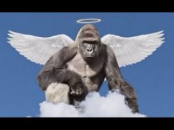 Harambe Angel Meme Template