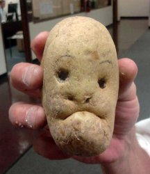 Potato face Meme Template