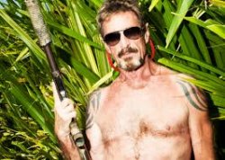 Mcafee Meme Template