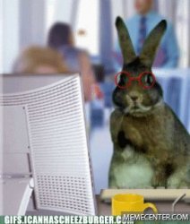 busy bunny Meme Template