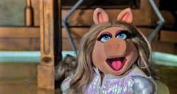 Miss Piggy shocked Meme Template