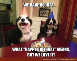 Dogs Birthday Wish Meme Template
