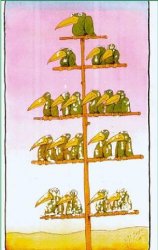 Pyramid Meme Template