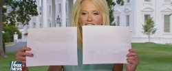 Kellyanne Signs Meme Template