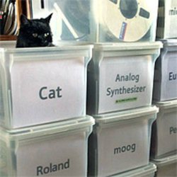 Organized Cat Meme Template
